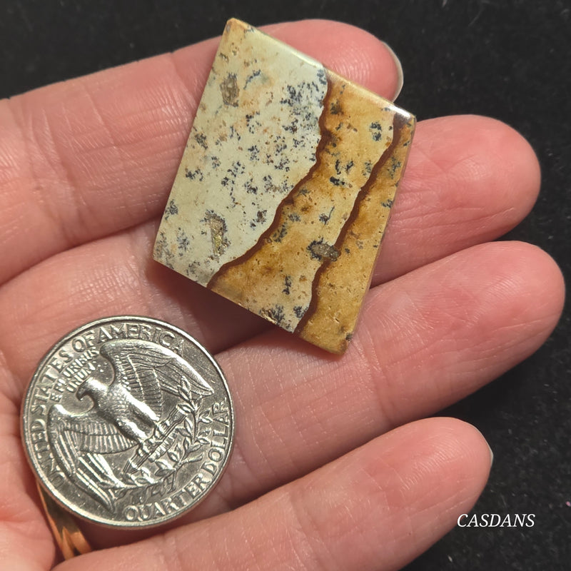 Picture Jasper Cabochon