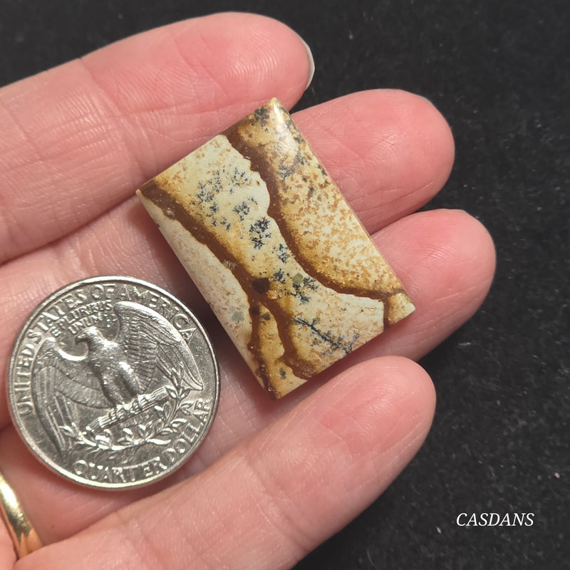 Picture Jasper Cabochon
