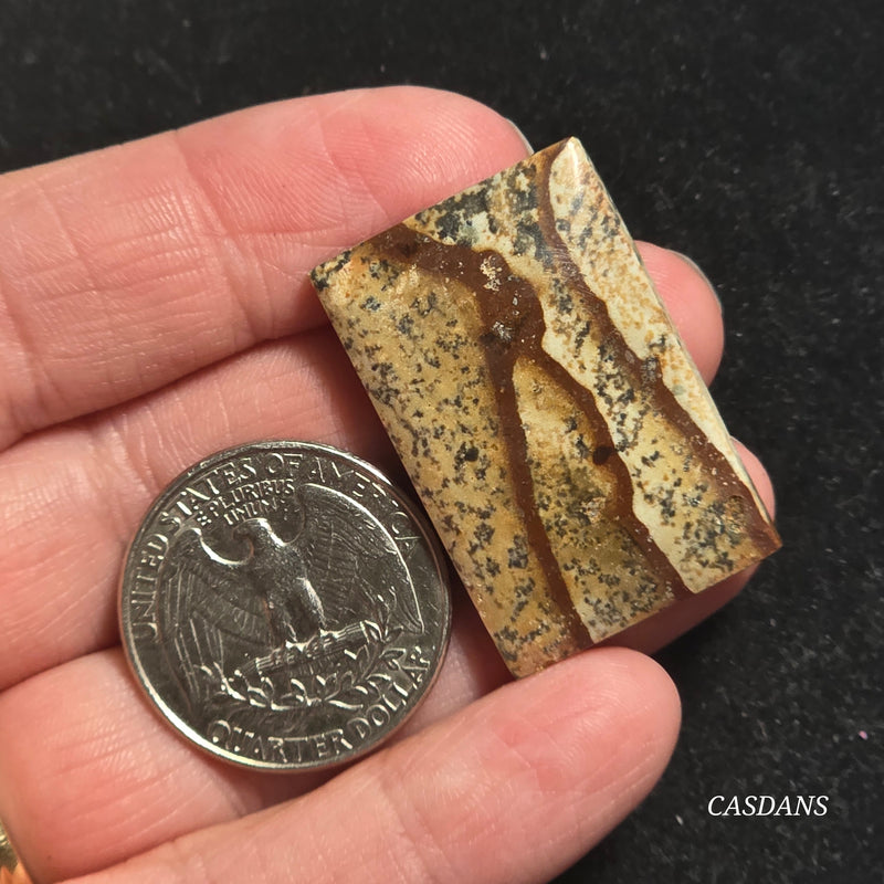 Picture Jasper Cabochon