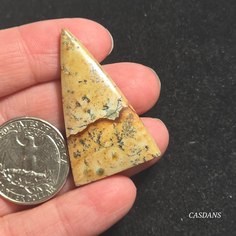 Picture Jasper Cabochon