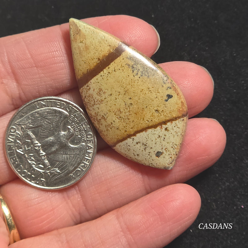 Picture Jasper Cabochon
