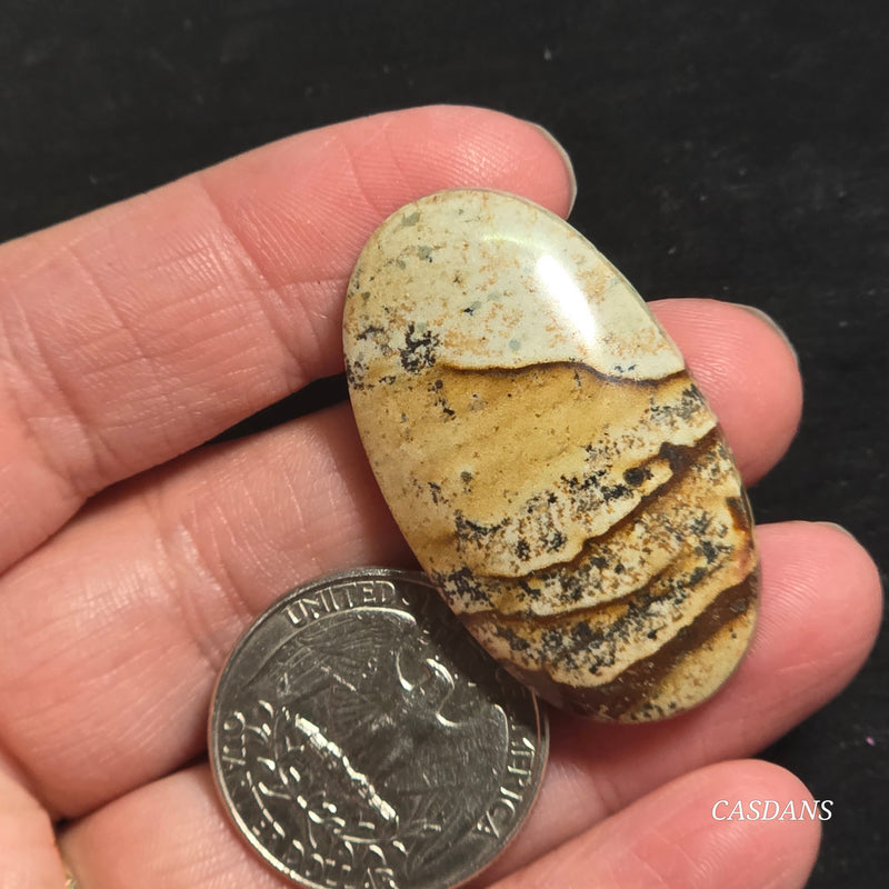 Picture Jasper Cabochon
