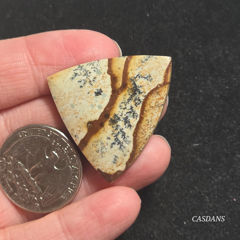 Picture Jasper Cabochon