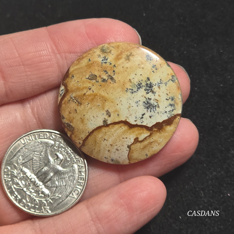 Picture Jasper Cabochon