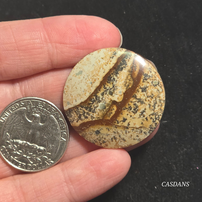 Picture Jasper Cabochon