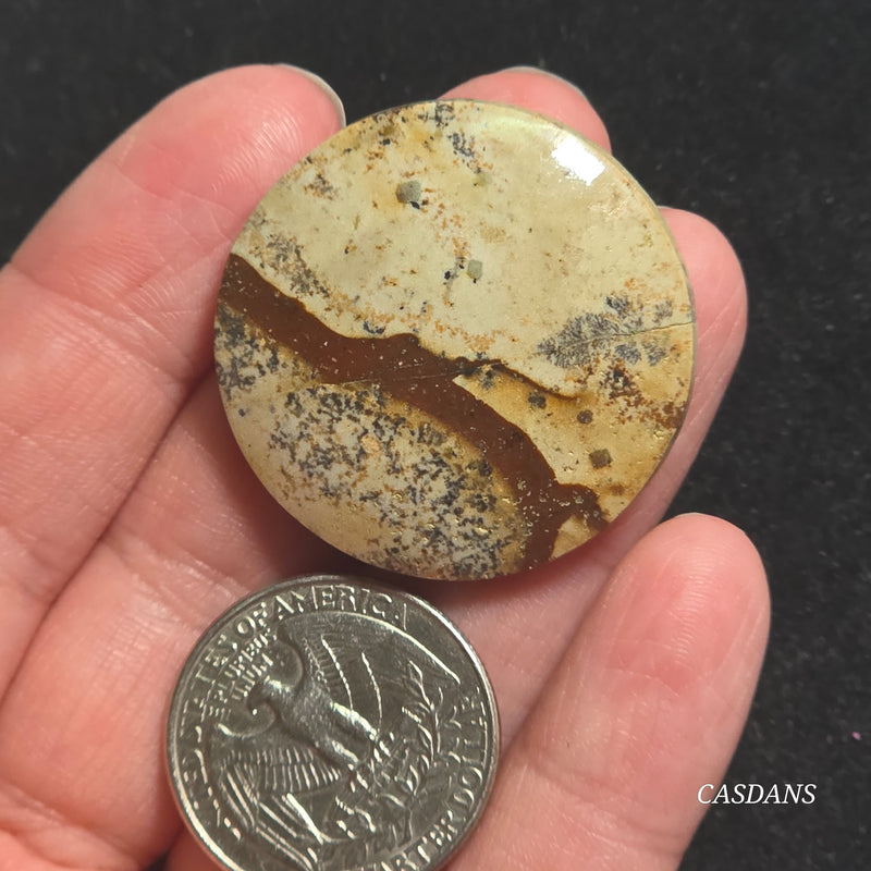 Picture Jasper Cabochon