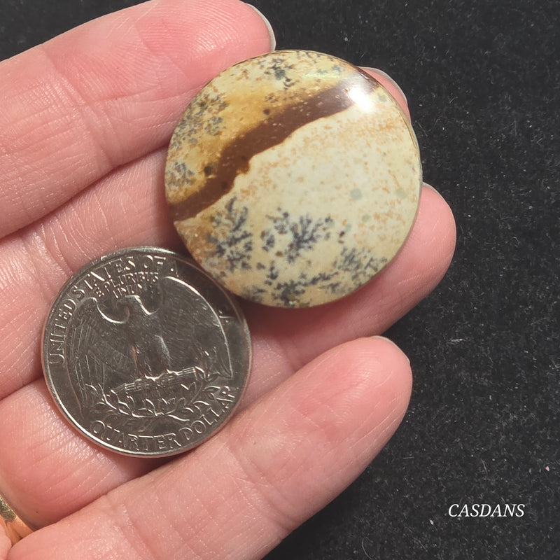 Picture Jasper Cabochon