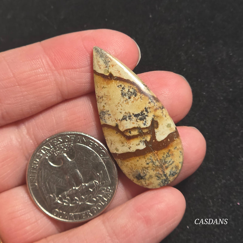 Picture Jasper Cabochon