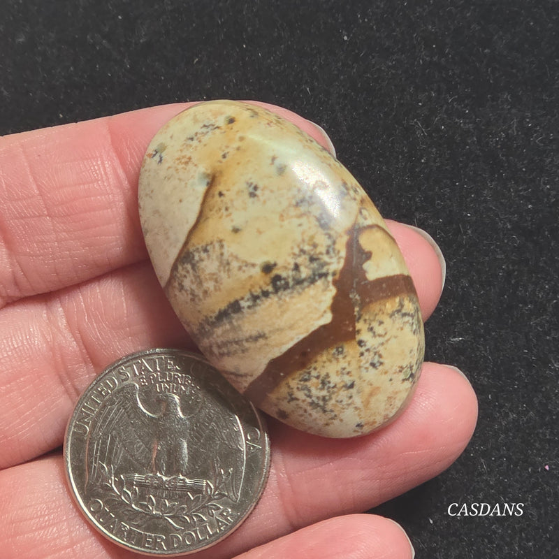 Picture Jasper Cabochon