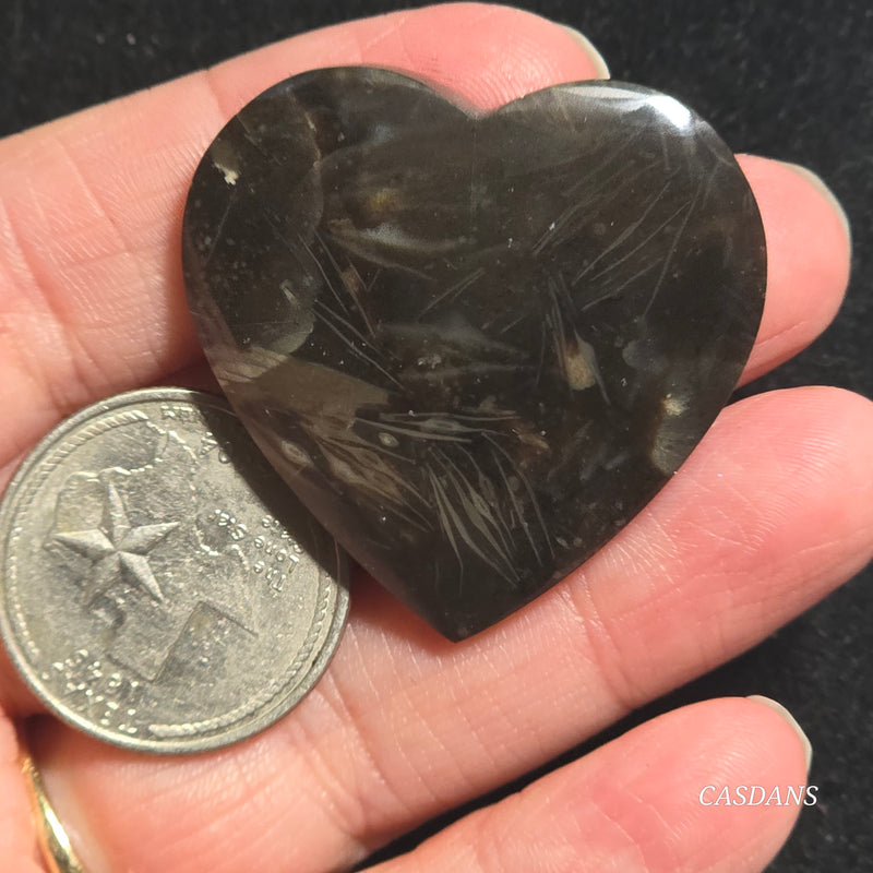 Peacock Feather Agate Cabochon