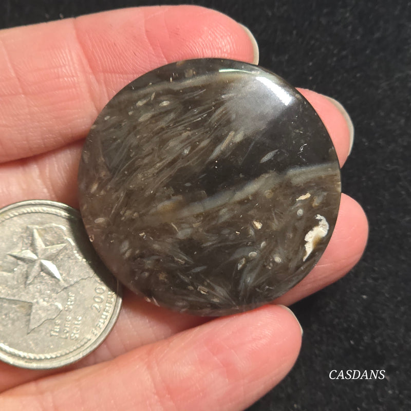 Peacock Feather Agate Cabochon