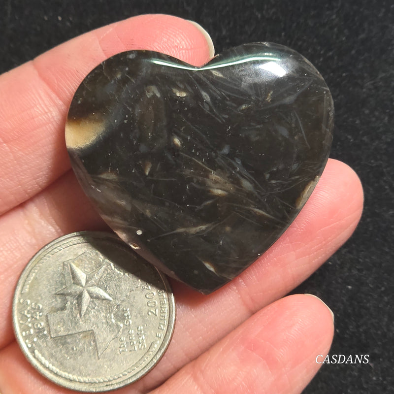 Peacock Feather Agate Cabochon