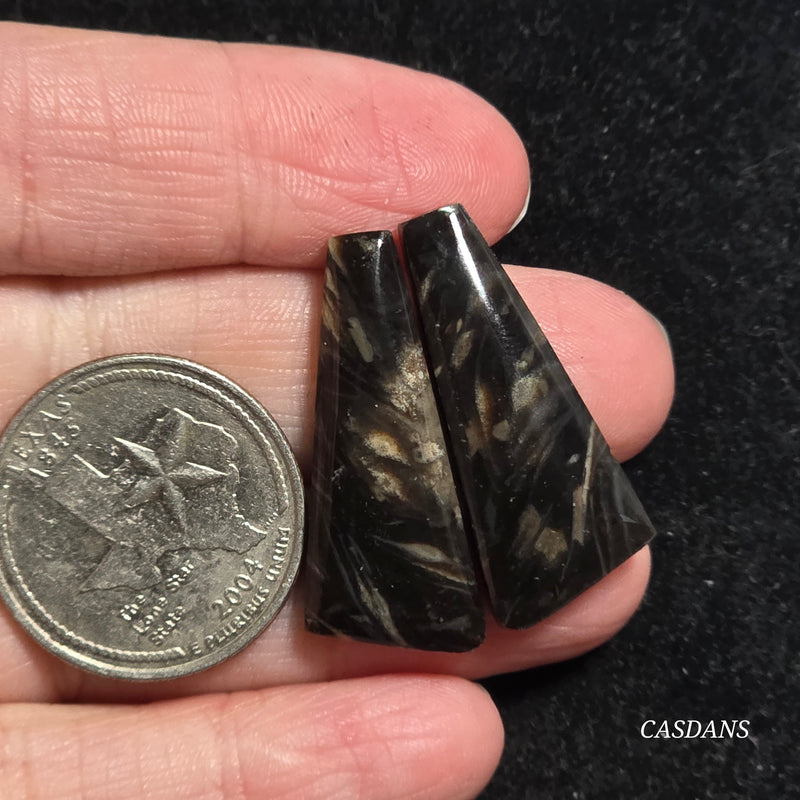 Peacock Feather Agate Cabochon Pair