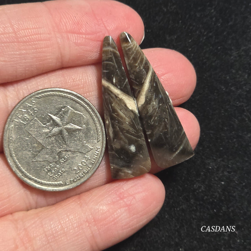 Peacock Feather Agate Cabochon Pair