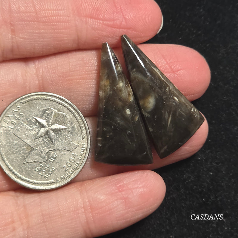 Peacock Feather Agate Cabochon Pair