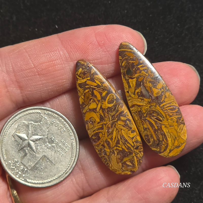 Miriam Stone / Calligraphy Stone Cabochon Pair