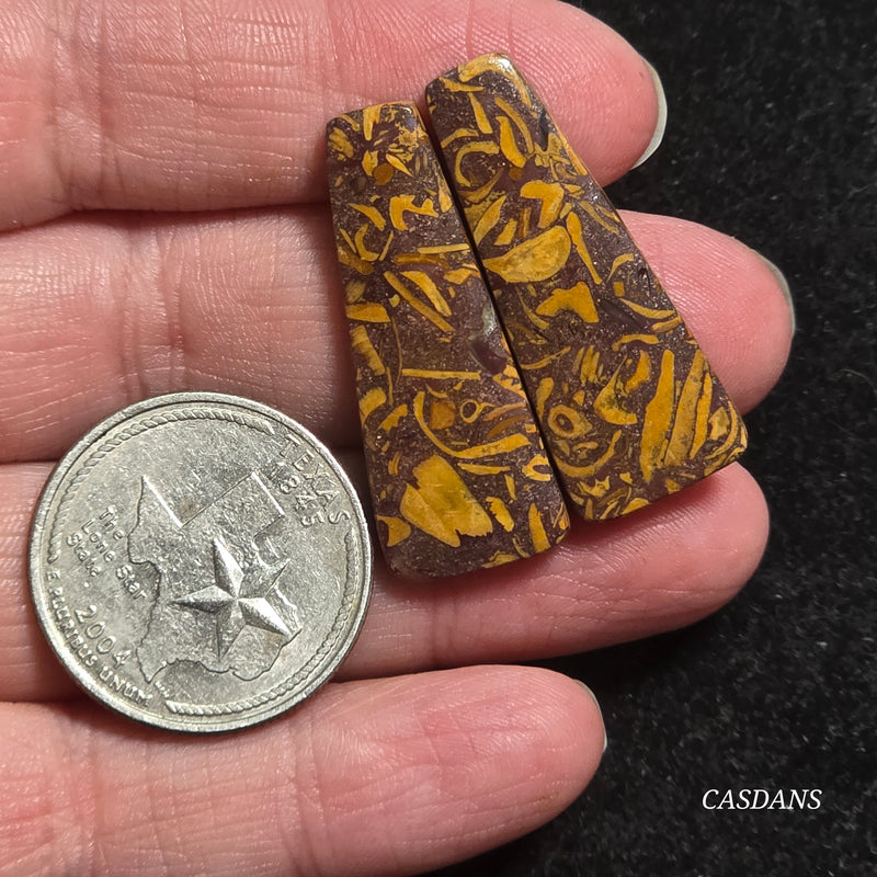 Miriam Stone / Calligraphy Stone Cabochon Pair