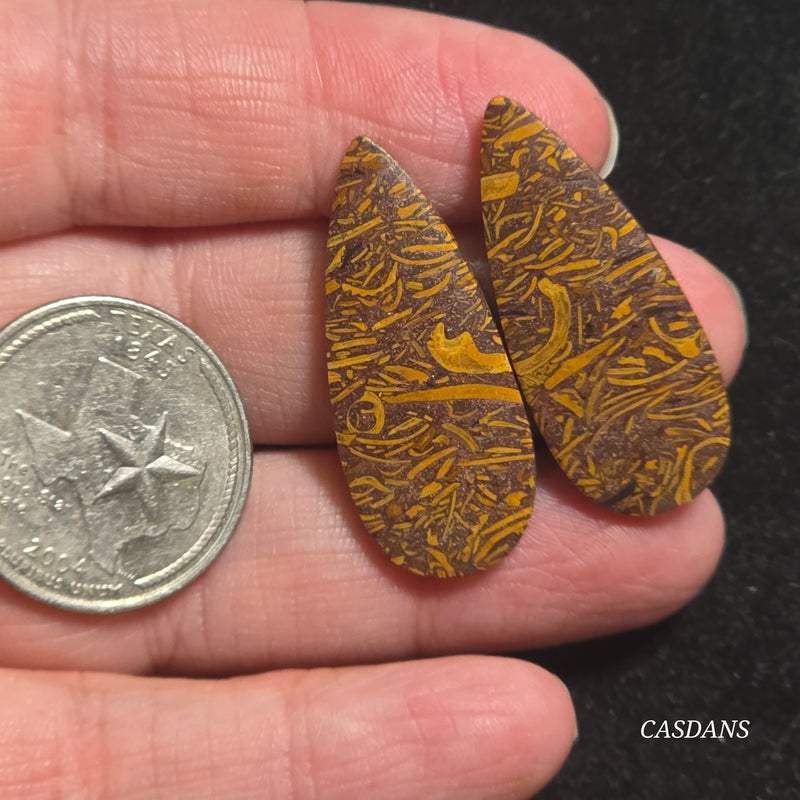 Miriam Stone / Calligraphy Stone Cabochon Pair