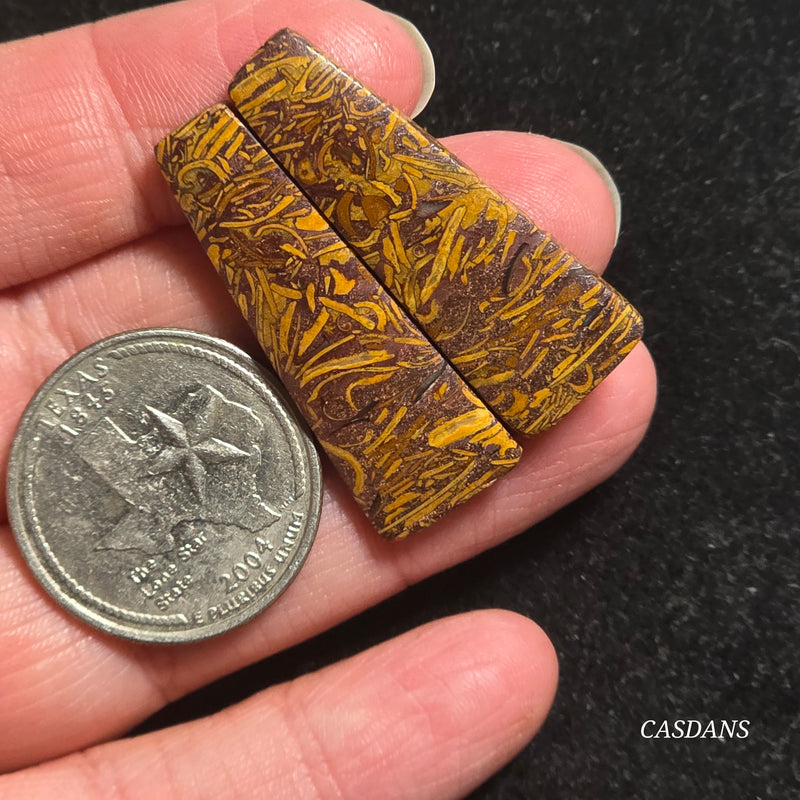 Miriam Stone / Calligraphy Stone Cabochon Pair