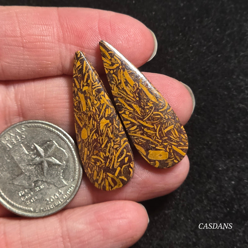 Miriam Stone / Calligraphy Stone Cabochon Pair