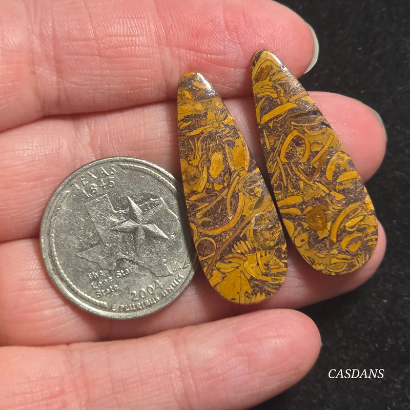 Miriam Stone / Calligraphy Stone Cabochon Pair