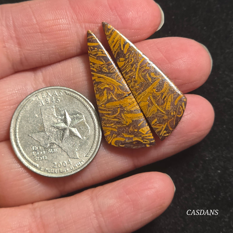 Miriam Stone / Calligraphy Stone Cabochon Pair