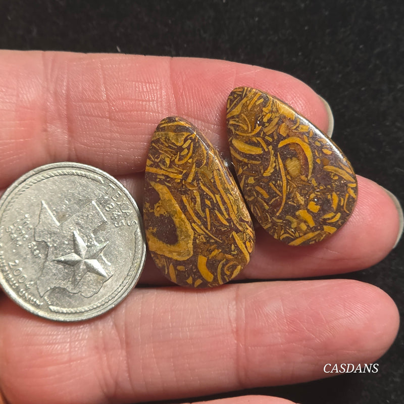 Miriam Stone / Calligraphy Stone Cabochon Pair