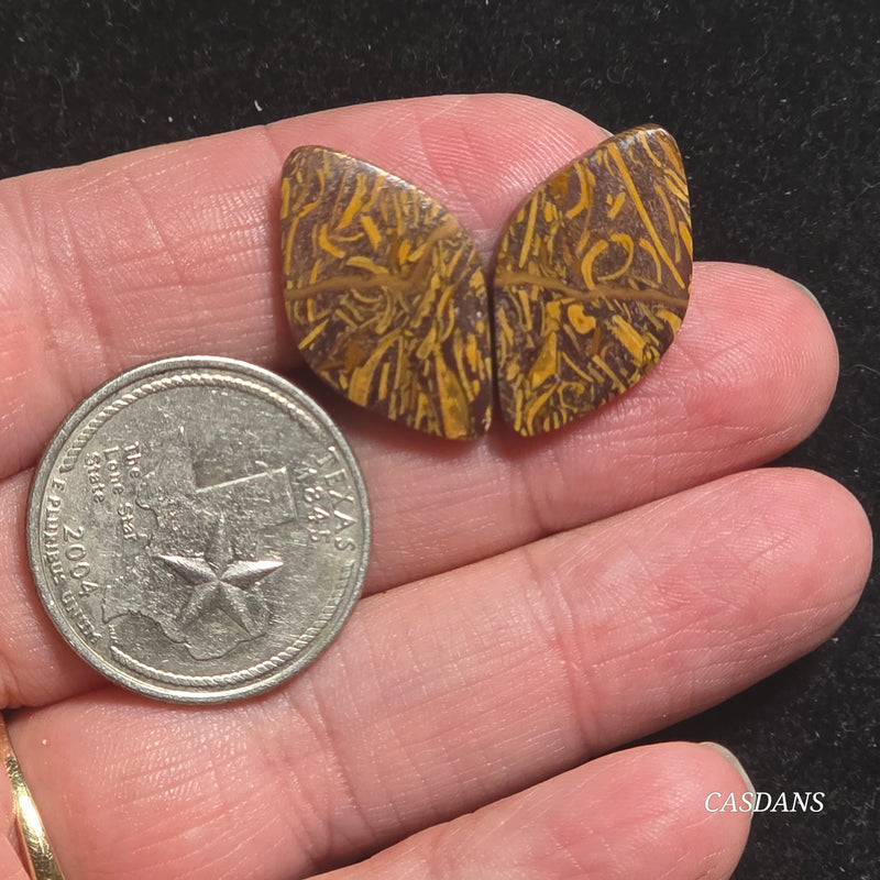 Miriam Stone / Calligraphy Stone Cabochon Pair