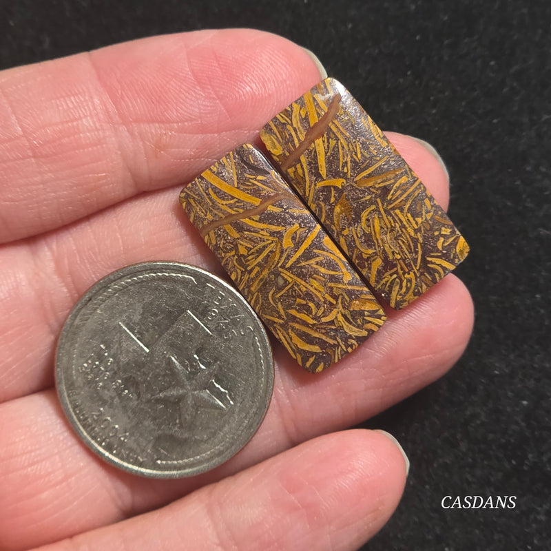 Miriam Stone / Calligraphy Stone Cabochon Pair