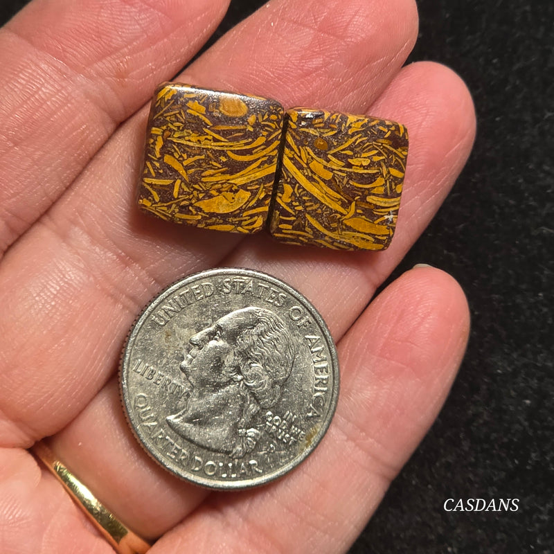 Miriam Stone / Calligraphy Stone Cabochon Pair