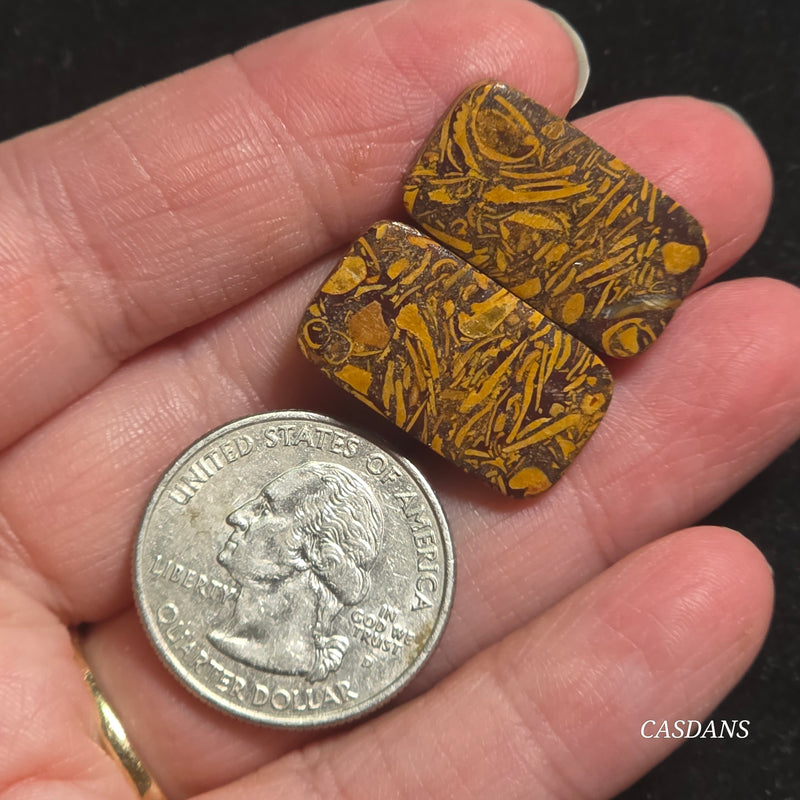 Miriam Stone / Calligraphy Stone Cabochon Pair