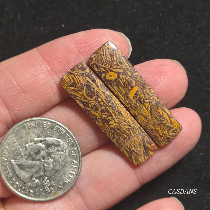 Miriam Stone / Calligraphy Stone Cabochon Pair