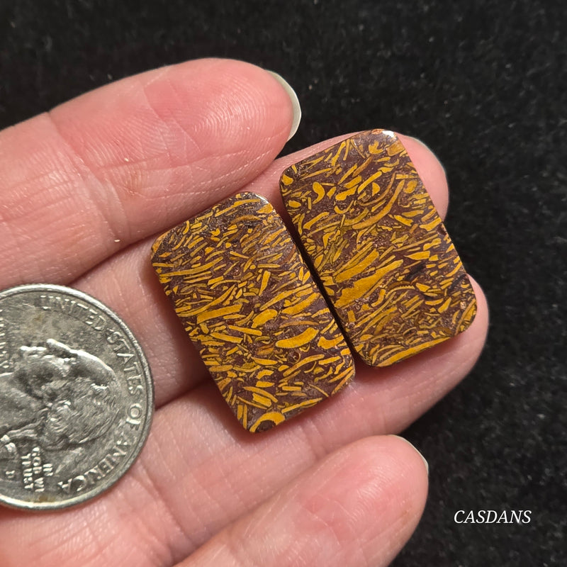 Miriam Stone / Calligraphy Stone Cabochon Pair
