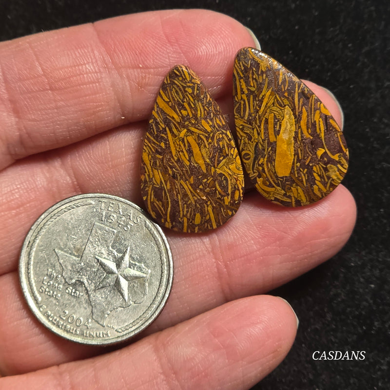 Miriam Stone / Calligraphy Stone Cabochon Pair