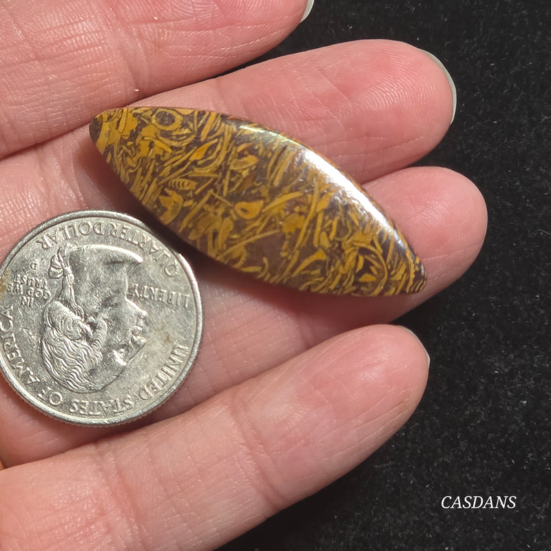 Miriam Stone / Calligraphy Stone Cabochon