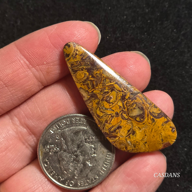 Miriam Stone / Calligraphy Stone Cabochon