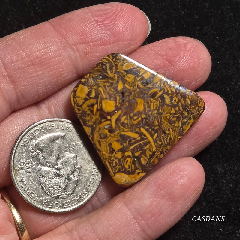 Miriam Stone / Calligraphy Stone Cabochon