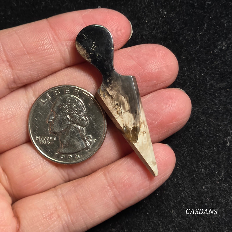 Petrified Palmroot Kunai Cabochon