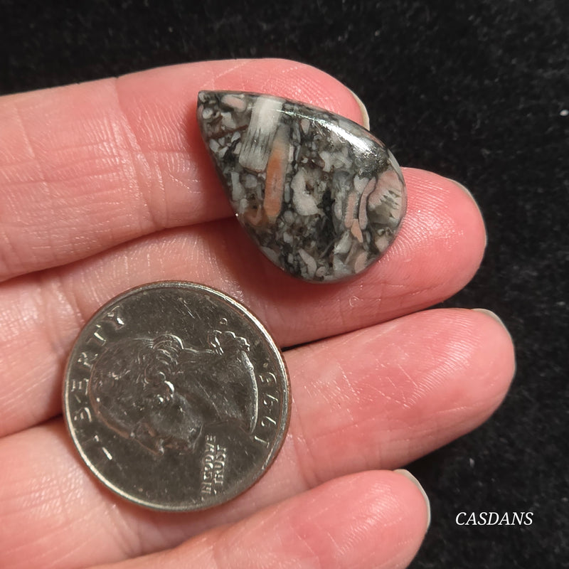 Crinoid Fossil Cabochon