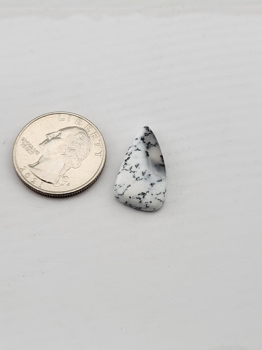Dendritic Opal