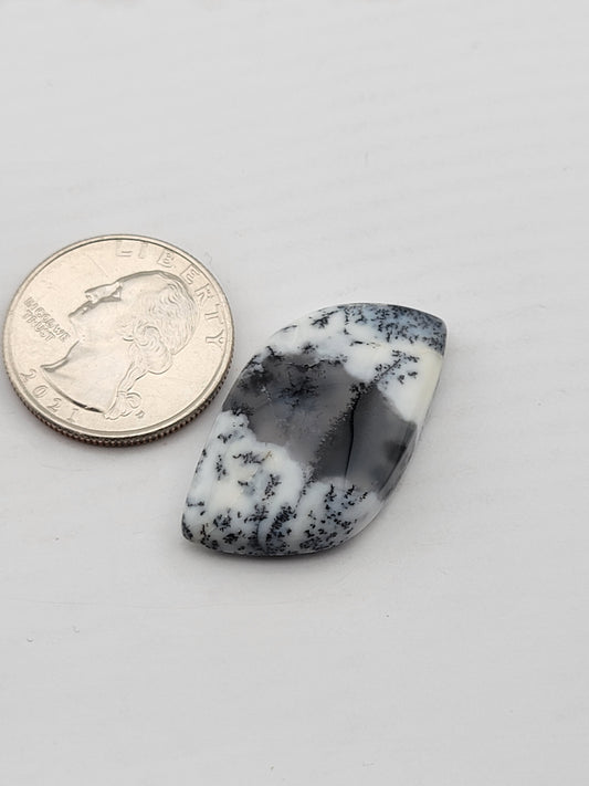 Dendritic Opal