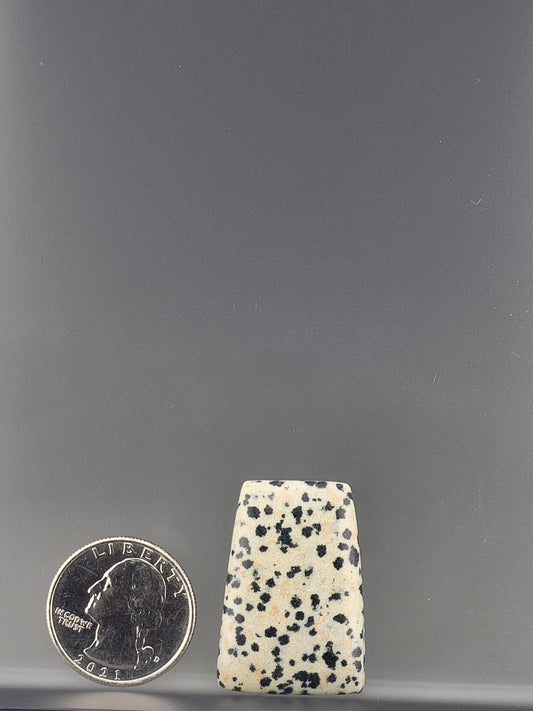 Dalmatian Stone