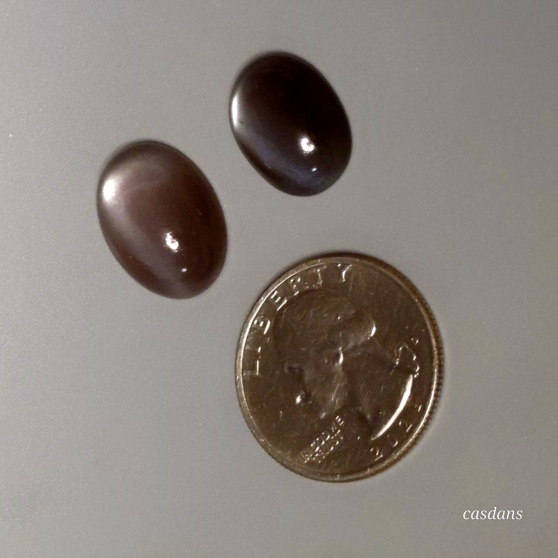 Chocolate Moonstone - Calibrated