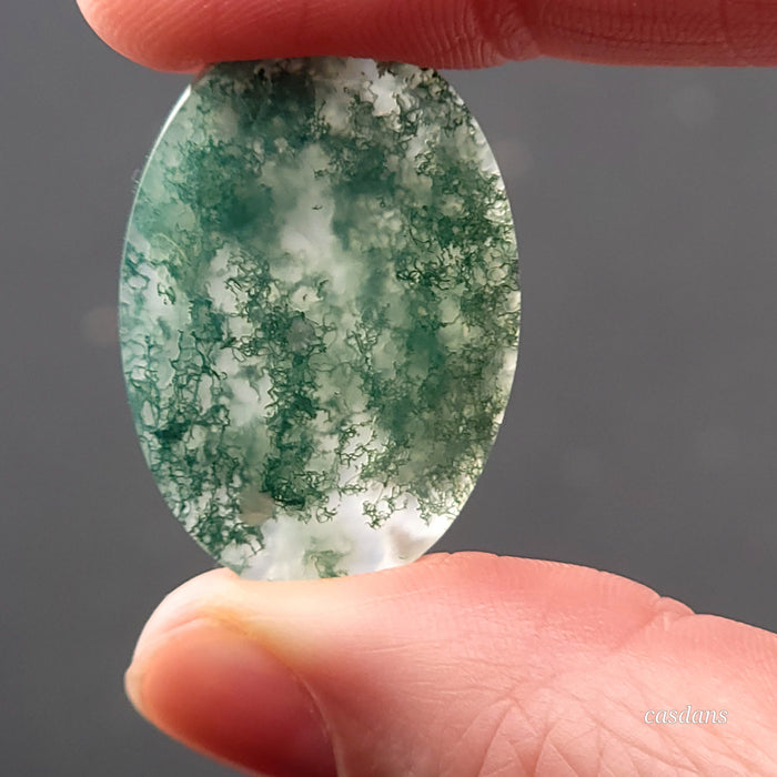 Indonesian Scenic Moss Agate