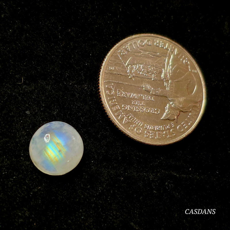 Rainbow Moonstone 10mm Round Cabochon - Calibrated (1 piece)
