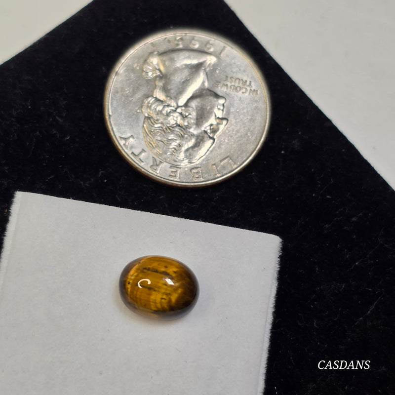 Tiger's Eye 8x10mm Oval Cabochon
