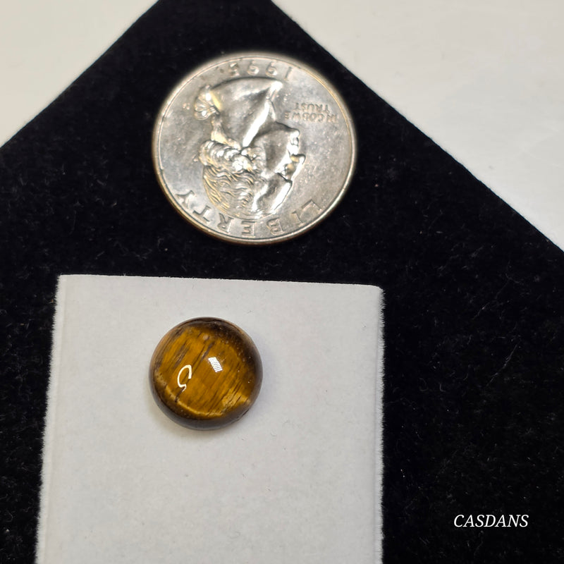 Tiger's Eye 12mm Round Cabochon