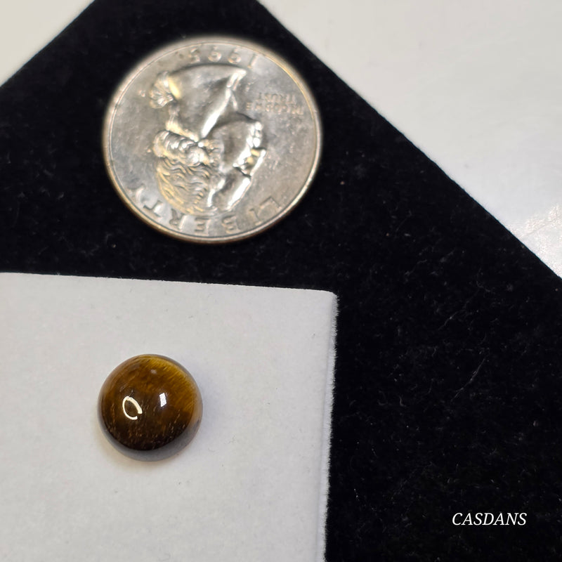 Tiger's Eye 10mm Round Cabochon