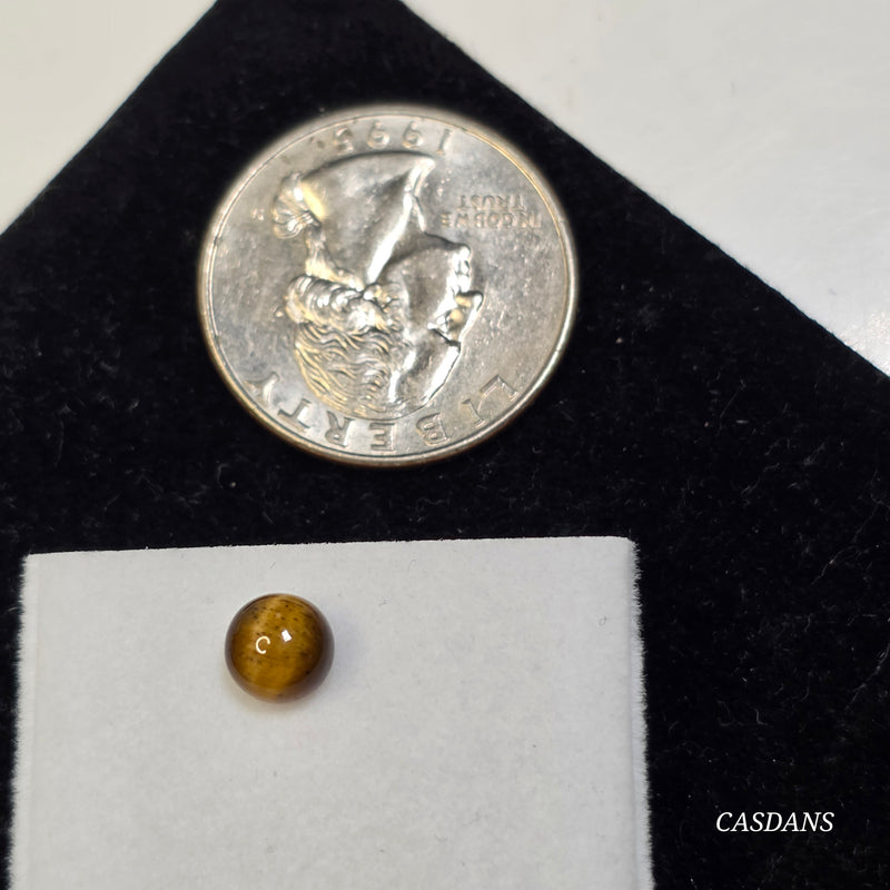 Tiger's Eye 6mm Round Cabochon