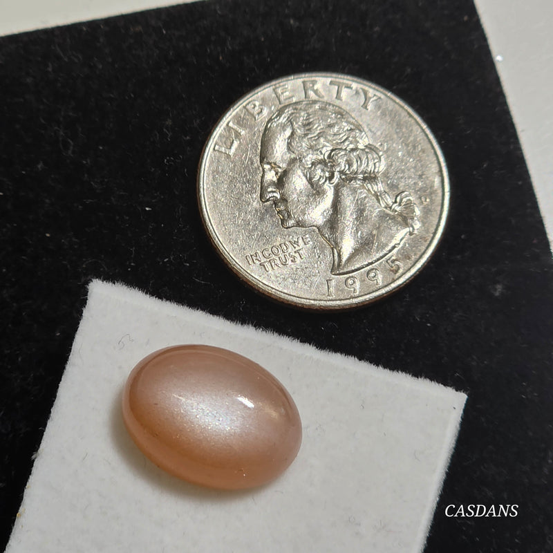Peach Moonstone 12x16mm Oval Cabochon
